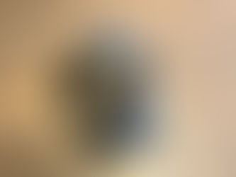 Wait...I have a Service Dog?!