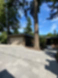 IMG_3158.jpeg
