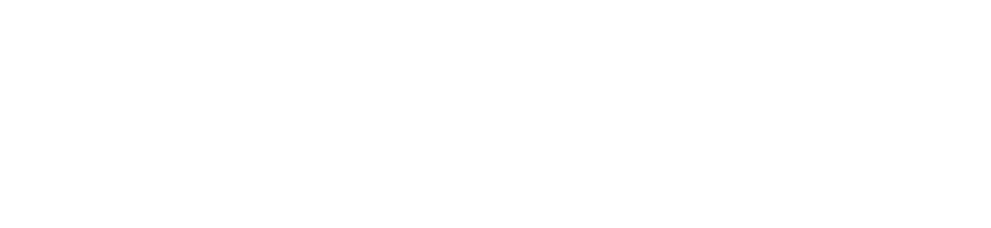 White logo - no background.png