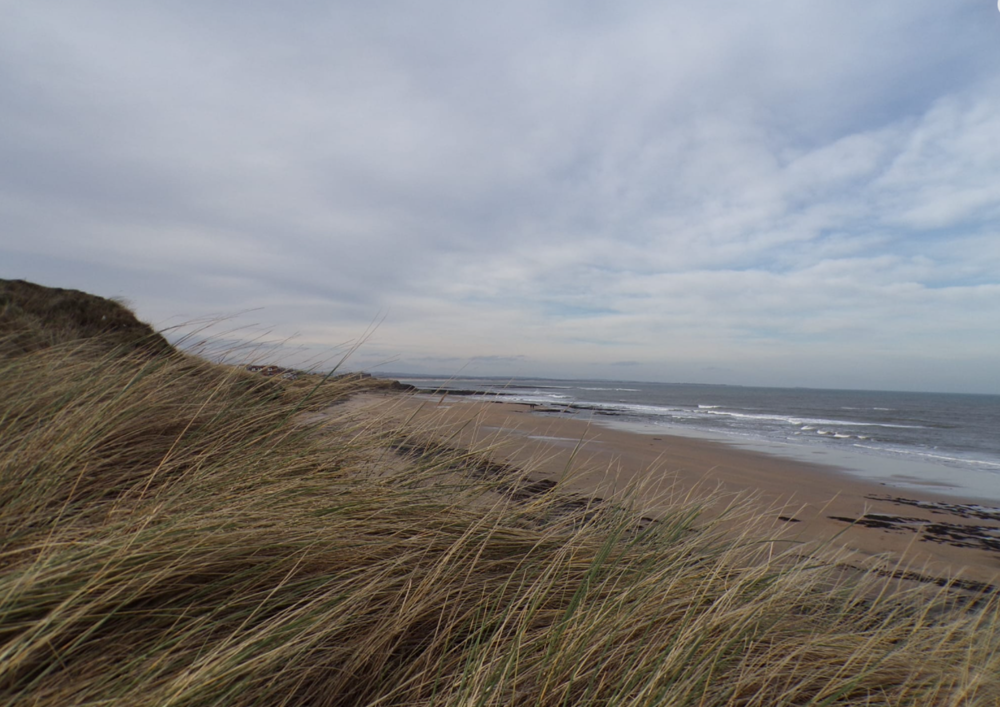 Whispers of the Dunes – Fine Art Print