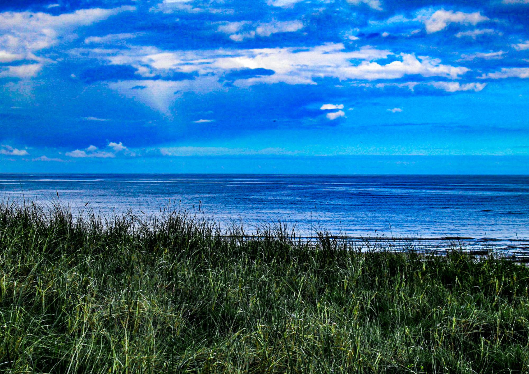 Where the Grass Meets the Sea – Fine Art Print