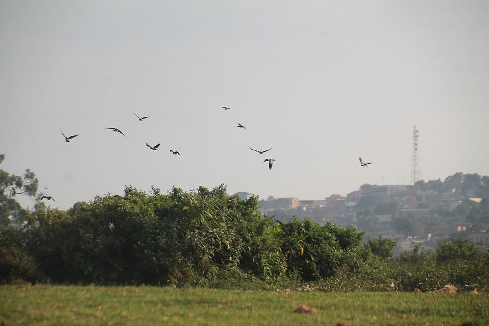 WhatsApp Image 2025-10-06 at 12.58.41.jpeg