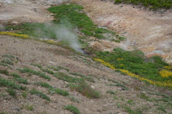 DSC03686