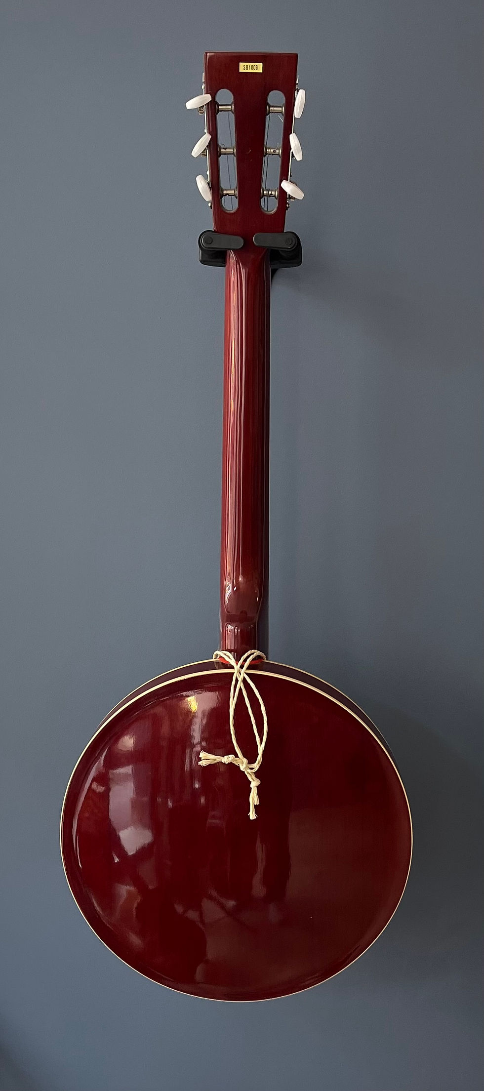 Miniature : Banjo Aria 5 cordes