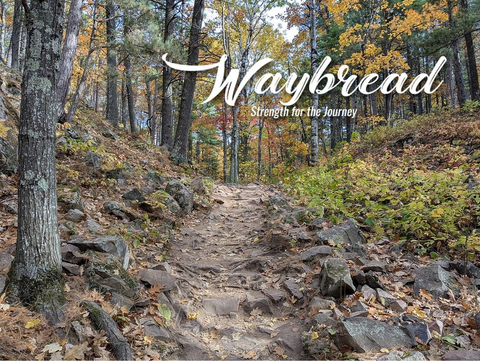 Photo by Ralph Felzer