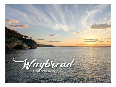 A LIGHT SHINES IN THE DARKNESS