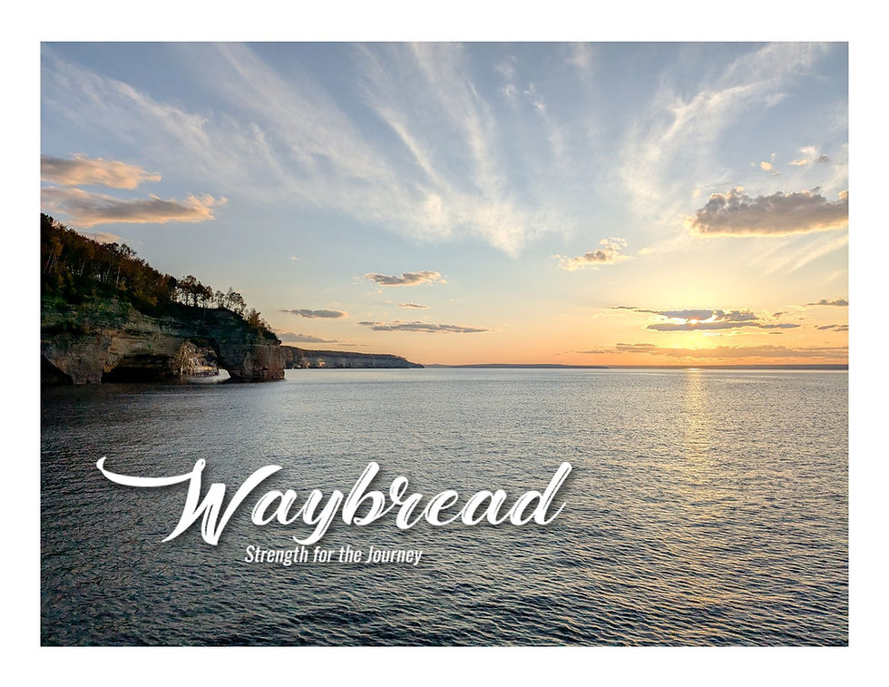 A LIGHT SHINES IN THE DARKNESS