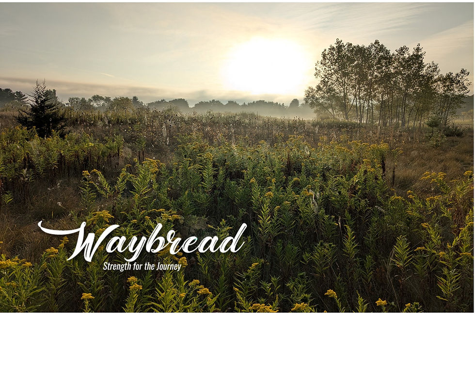 EVERY MOMENT IS SACRED