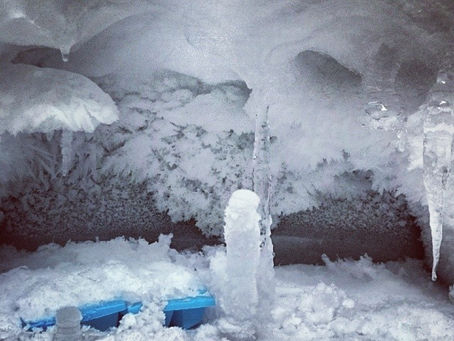 Why Your Freezer Is Freezing Too Much?