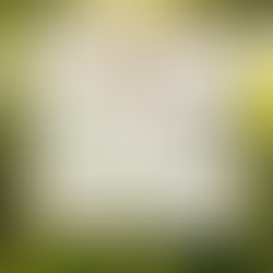 Yoga et Vibrations Sonores