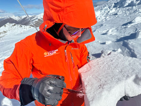 Guide to Avalanche Courses in New Zealand