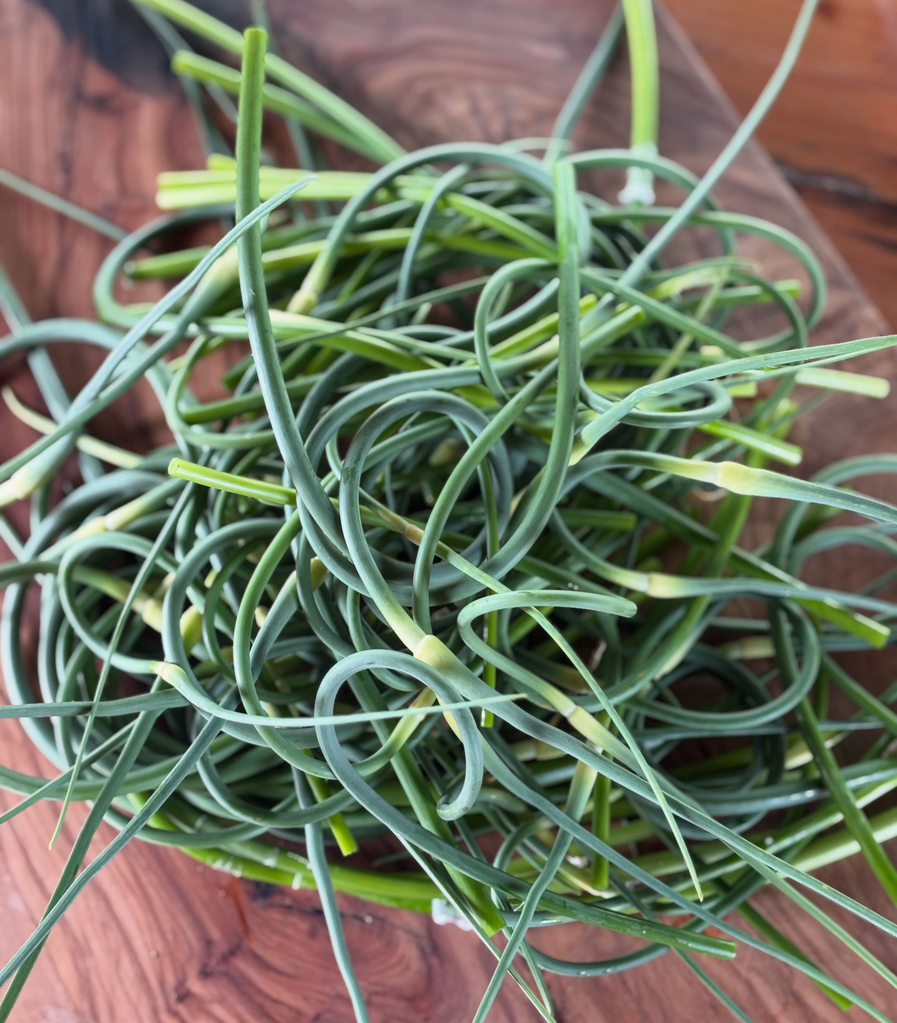 Garlic Scapes 