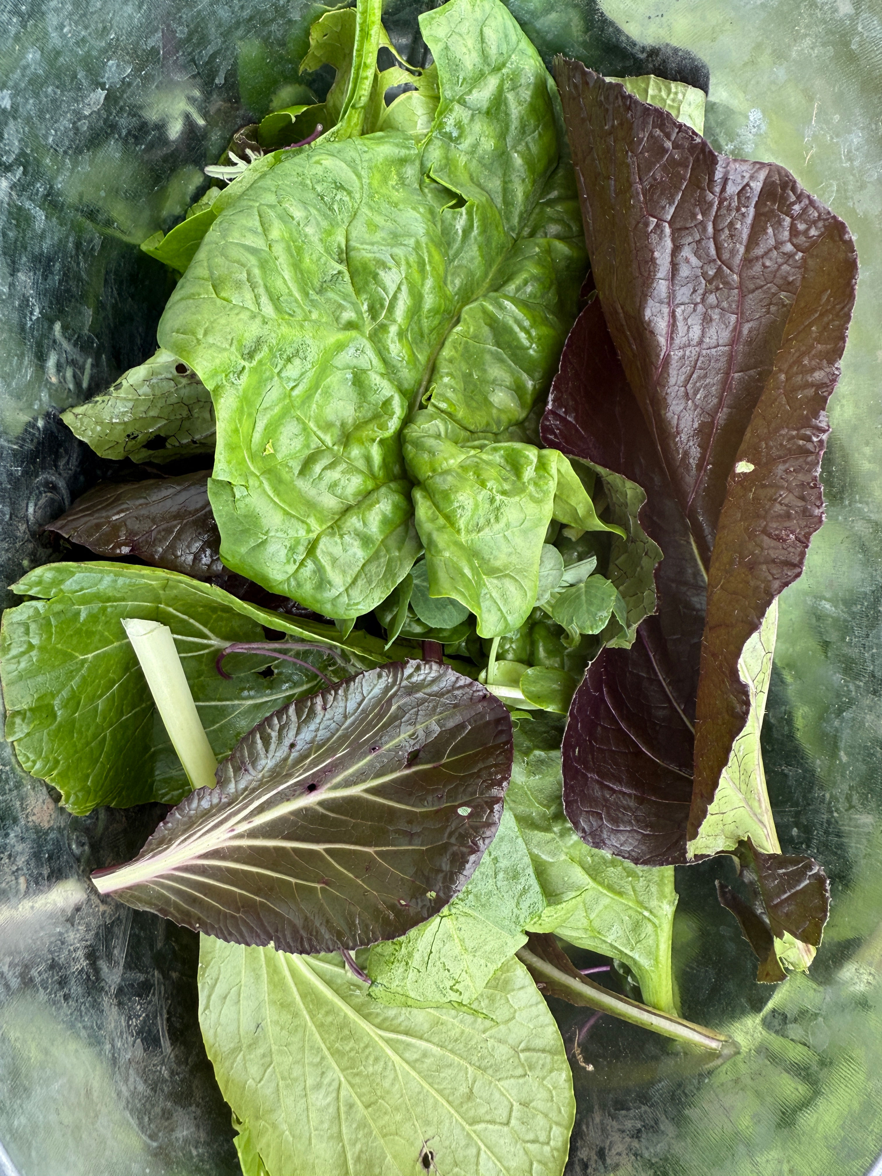 ANTI-INFLAMMATORY POWER GREEN MIX