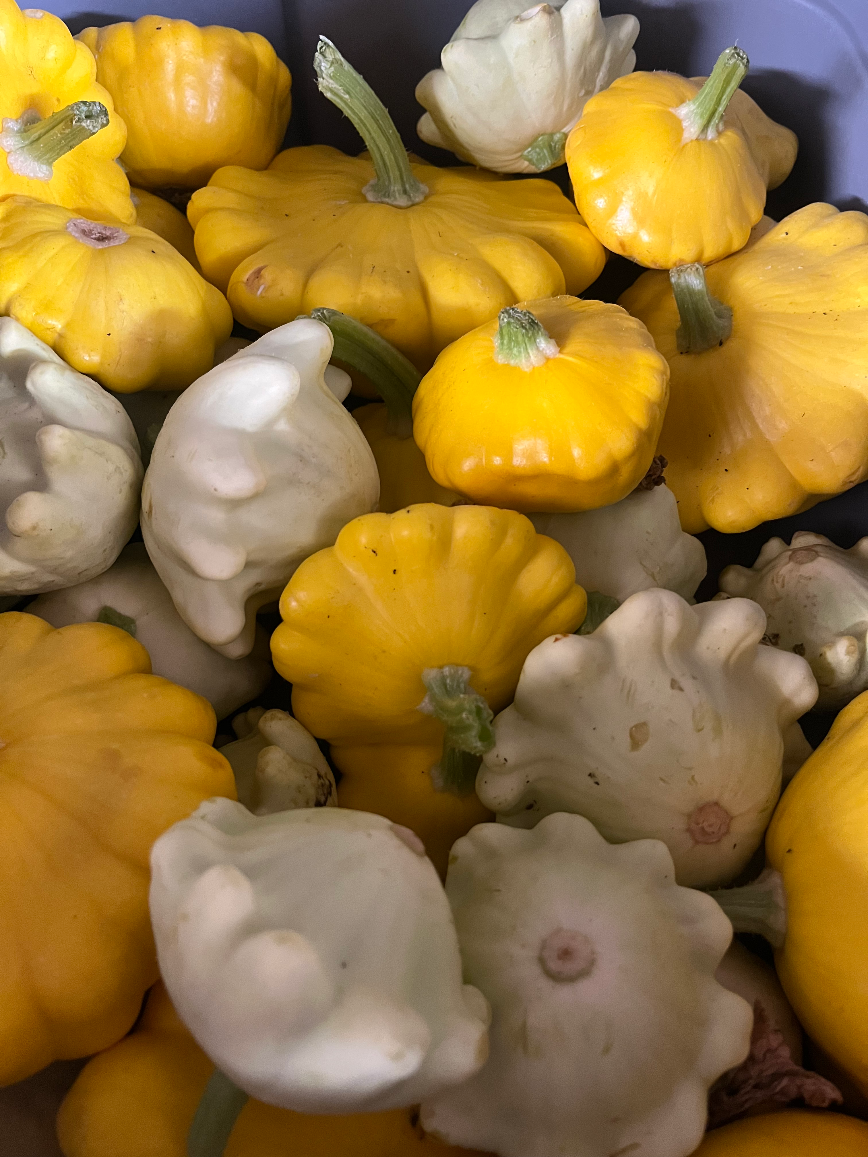 Patty Pans (sold by the pound)