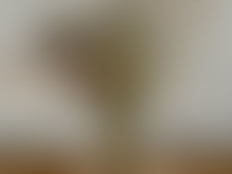 רגע של השראה # 8  - עצמאות