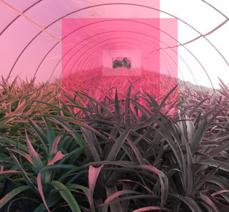 סדנא קבוצתית קולקורא סטודיו