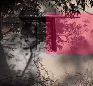 פוטותרפיה קולקורא סטודיו