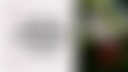 33 | patience, possibilites, & peace