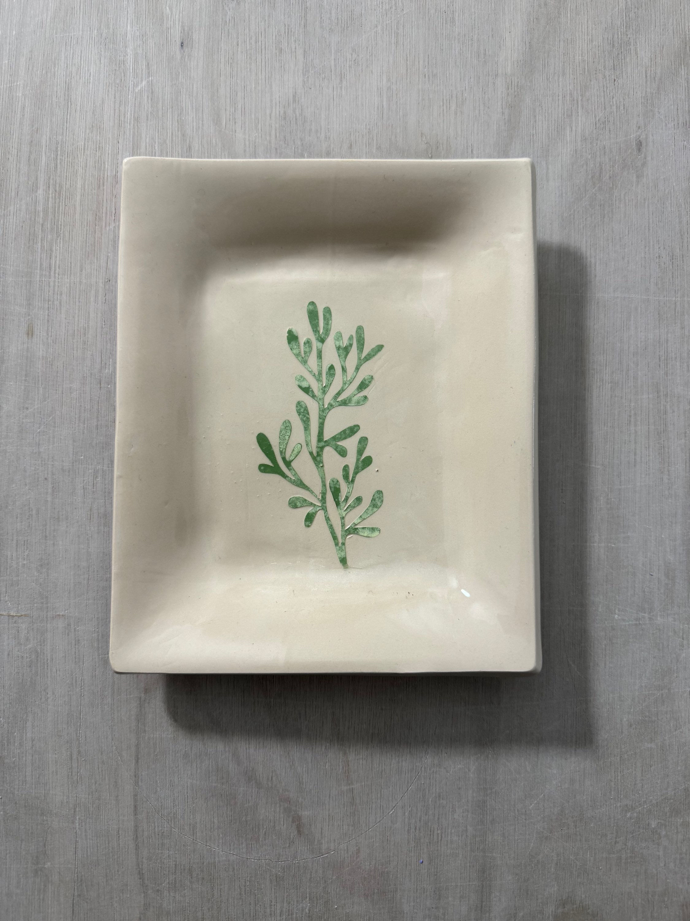 Coupelle rectangulaire impression plante