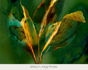 Stasis II