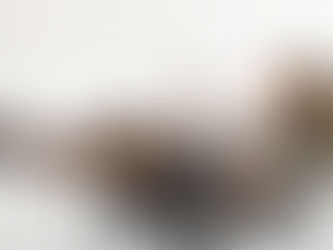 The Return of the Brand Photoshoot: Why Custom Visuals Win Every Time