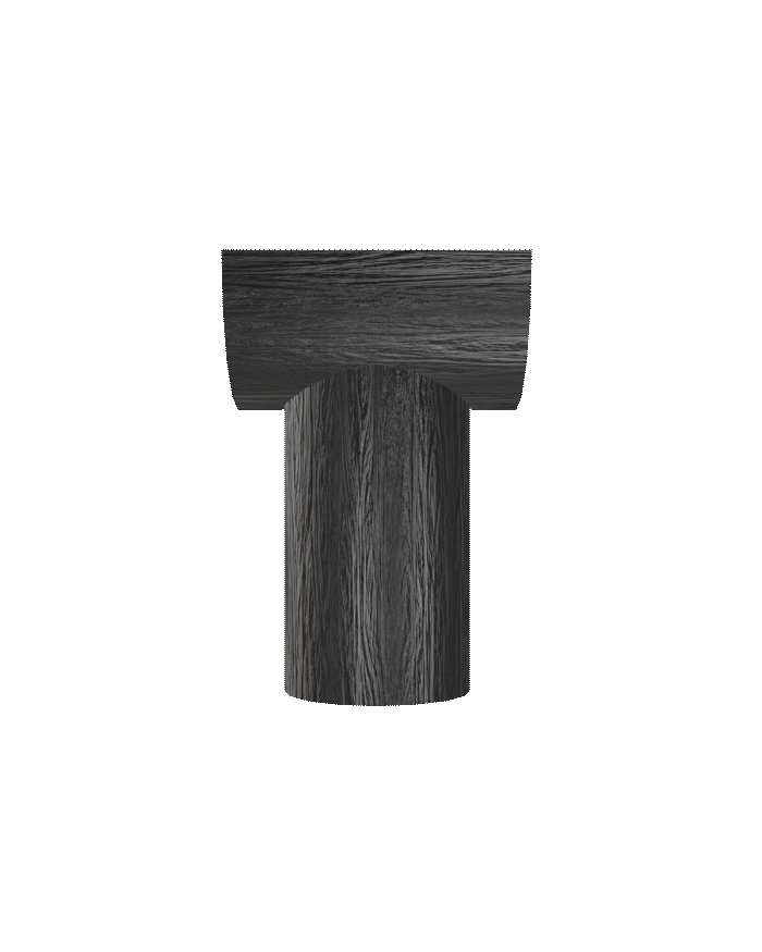 StudioTure3DFinal6.3.gif