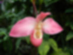DSCN8781