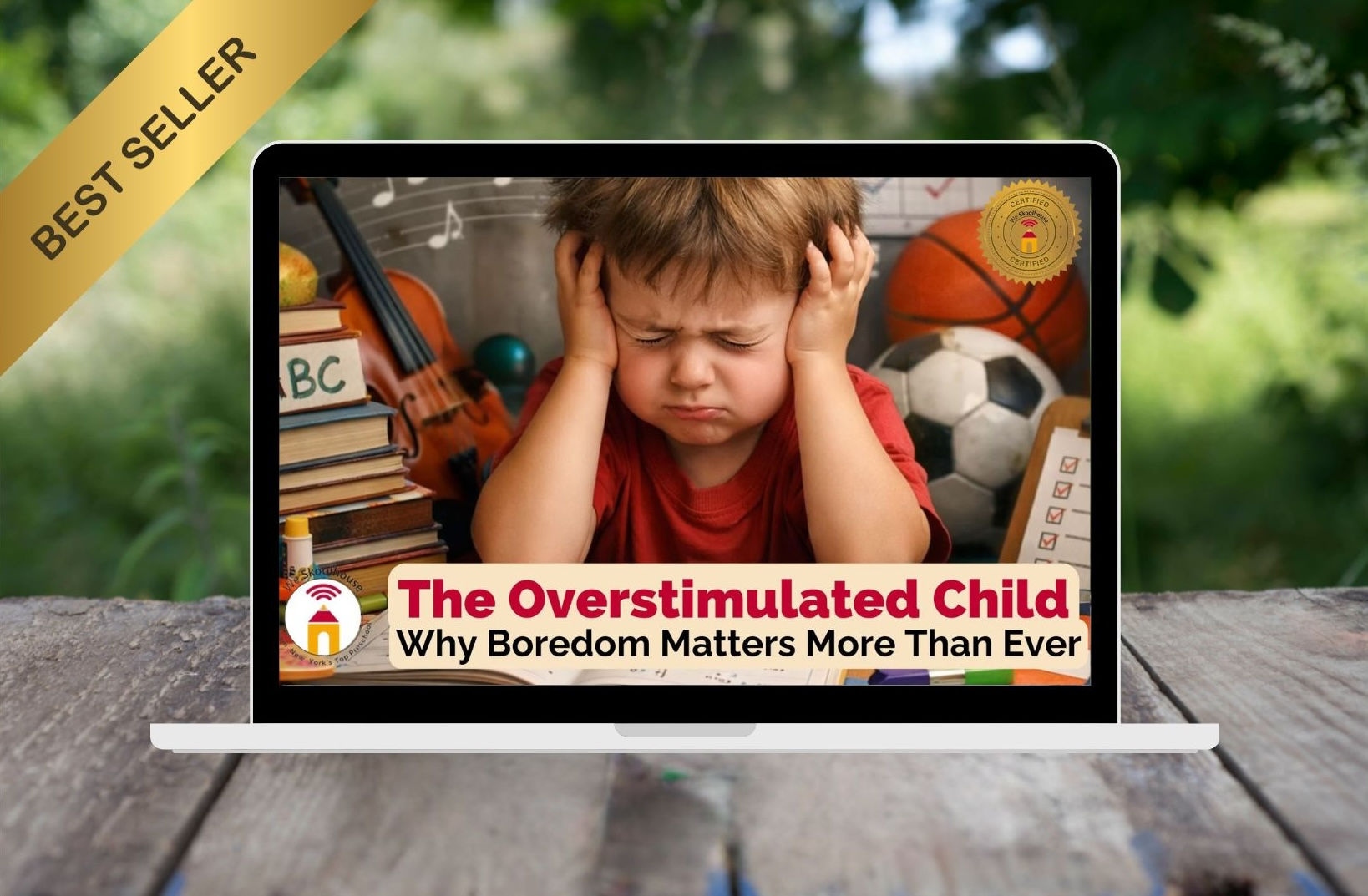 The Overstimulated Child (Certificate of Professional Development)