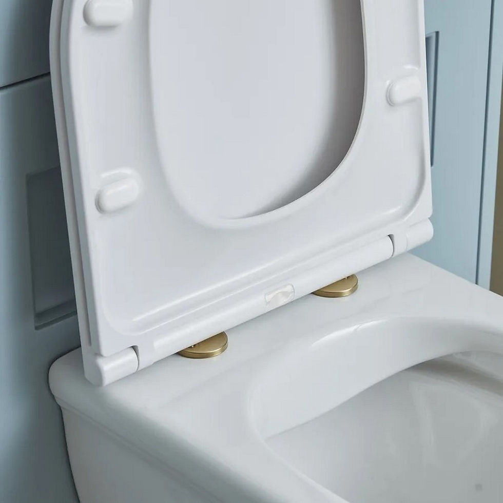 Thumbnail: Tavistock Compass Round Back to Wall WC and Seat