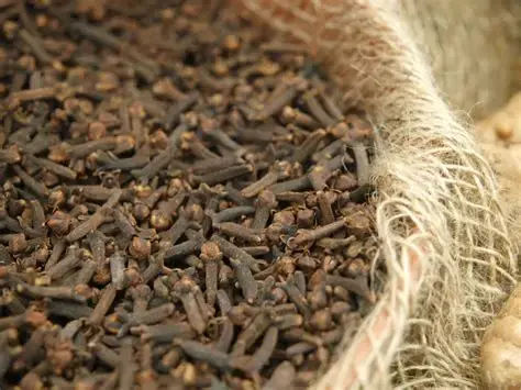 Thumbnail: Cloves