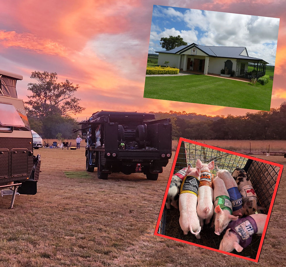 Camping Pigs Winery.jpg