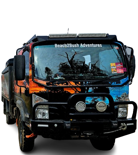 Watch this space for 2027 Tours