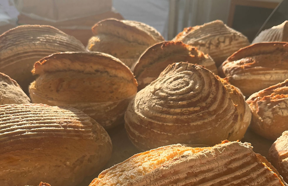 Little Bakery Langport