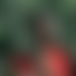 Exclusive Interview - LIINDOR: Unveiling the Soulful Revolution of Alternative R&B in South Africa