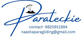 Parateckie logo