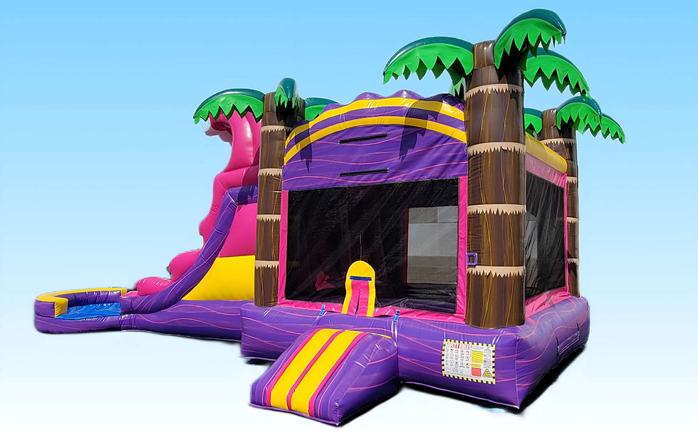 Miniatura: 27ft Pink Tropical Crush