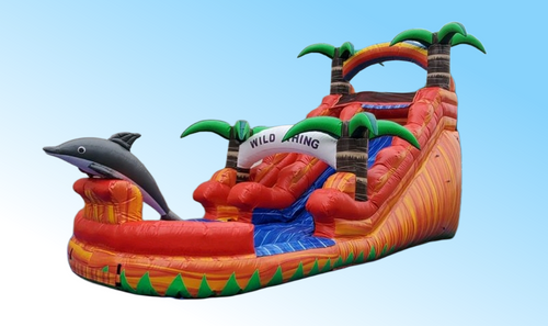 15ft Dolphin Paradise | Shop Bounce Houses