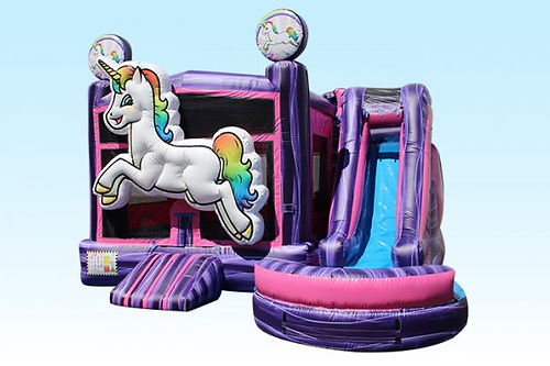 C401: 5 in 1 Unicorn Bounce Combo