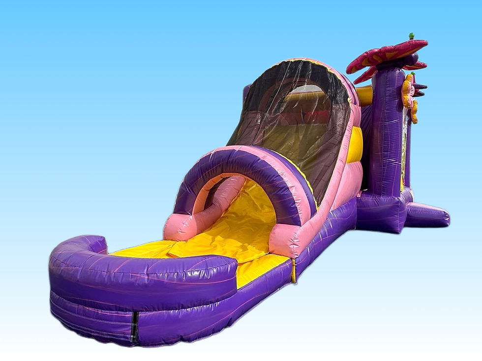 Miniatura: 27ft Butterfly Sparkle Bounce Combo