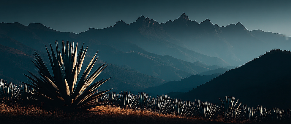 Mezcal los Nahuales de Oaxaca