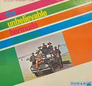 Bermuda Strollers.Buggy Ride.jpeg