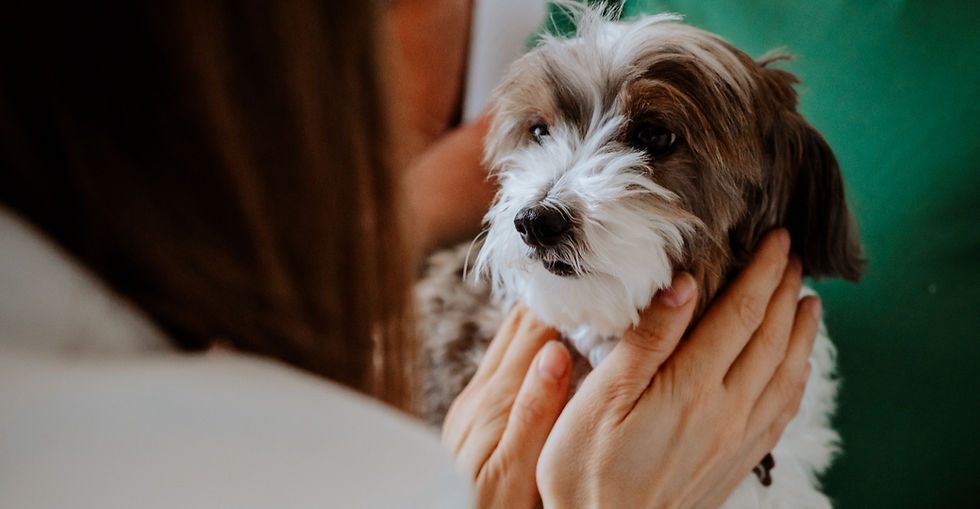 _DSC1147_edited_edited