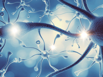 A simple way to calm the nervous system