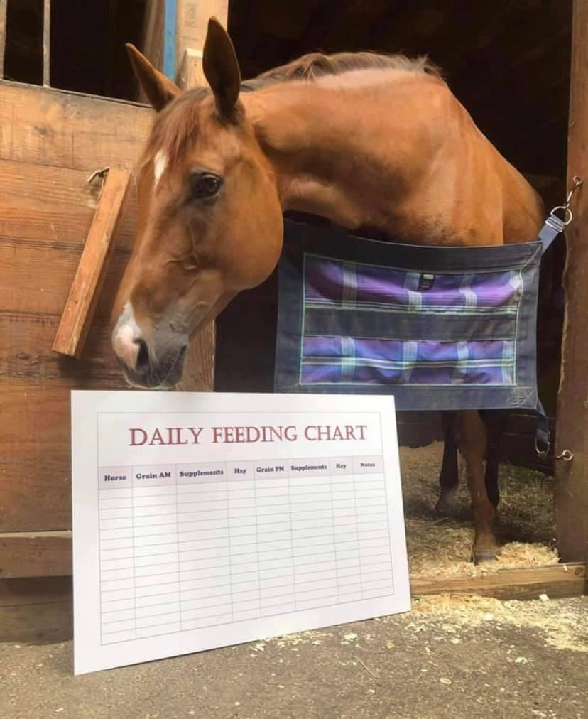 Daily Feeding Chart Copper Hill Farm