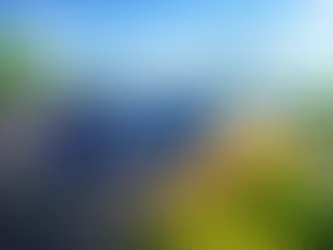 How to Start on Hills Without Rolling Back