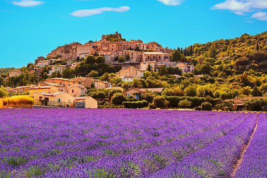 Provence 2025 EN.png