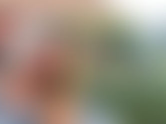 Last Mission Movie In Italian Free Download