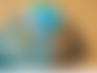 Arming Teachers is Not a Strategy