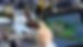 publiser_PNG.png