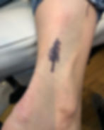 mini pine tree tattoo